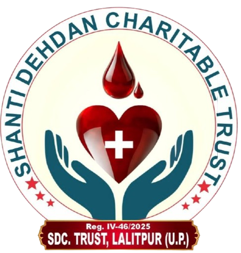 NGO Logo